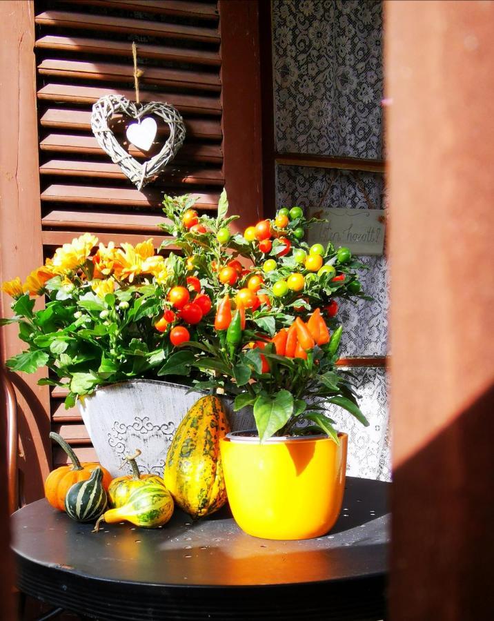 Hostal Őrség Kincse Hegyhátszentjakab Exterior foto